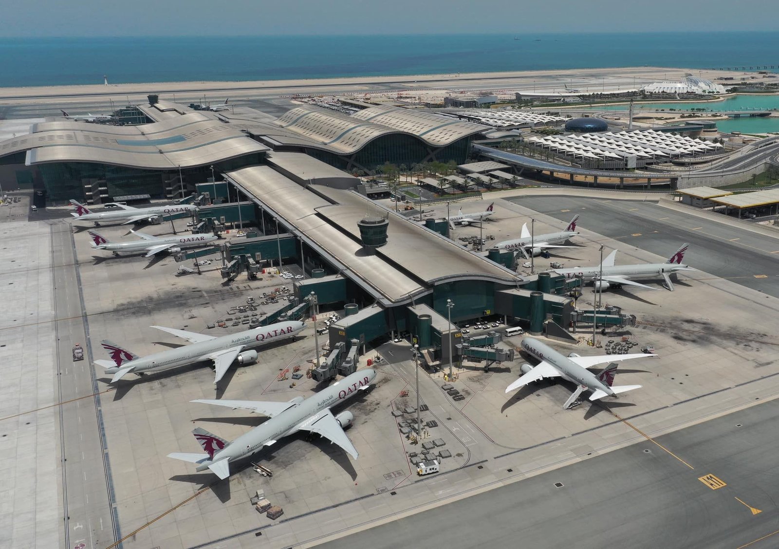 Aerial view of Hamad International Airport with several Qatar Airways aircraft positioned around terminal gates and taxiways.